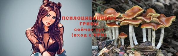 Альфа ПВП Балабаново